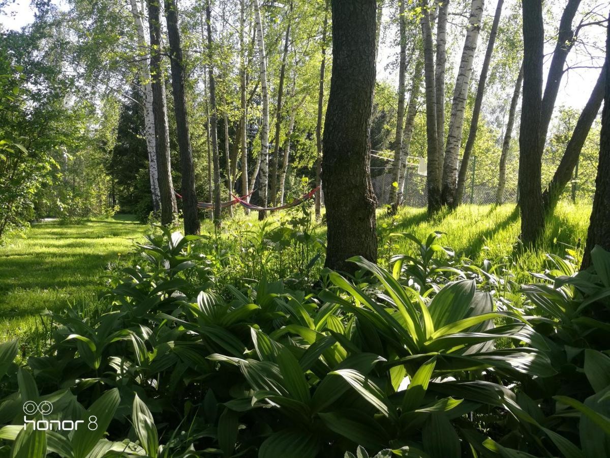 Zajacowka Villa Polanica-Zdrój Buitenkant foto