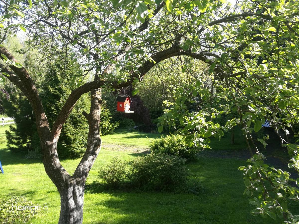 Zajacowka Villa Polanica-Zdrój Buitenkant foto