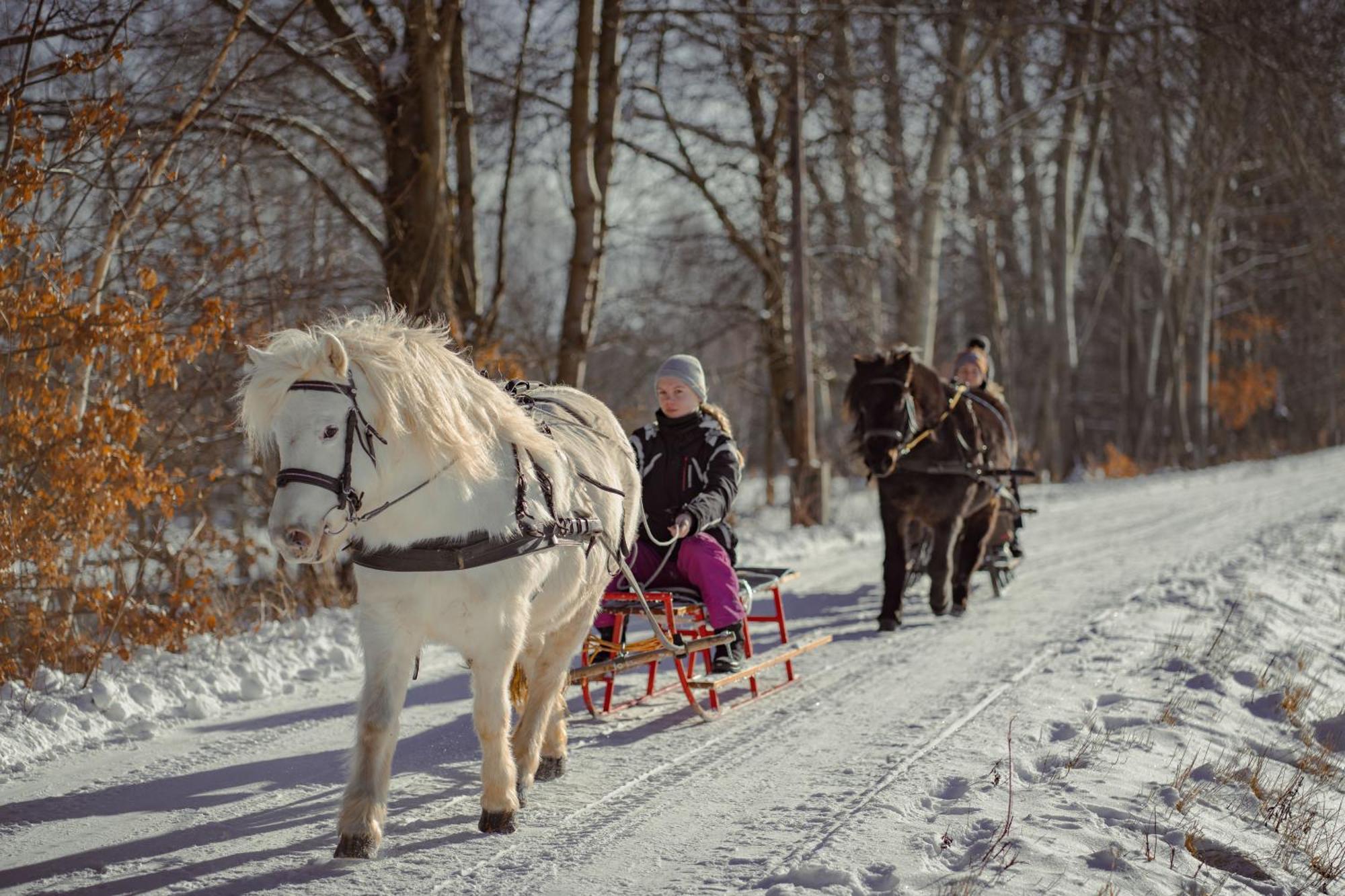 Zajacowka Villa Polanica-Zdrój Buitenkant foto