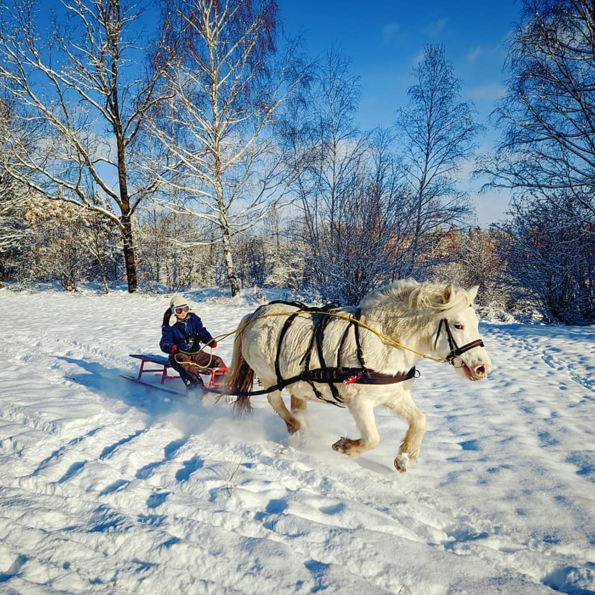 Zajacowka Villa Polanica-Zdrój Buitenkant foto