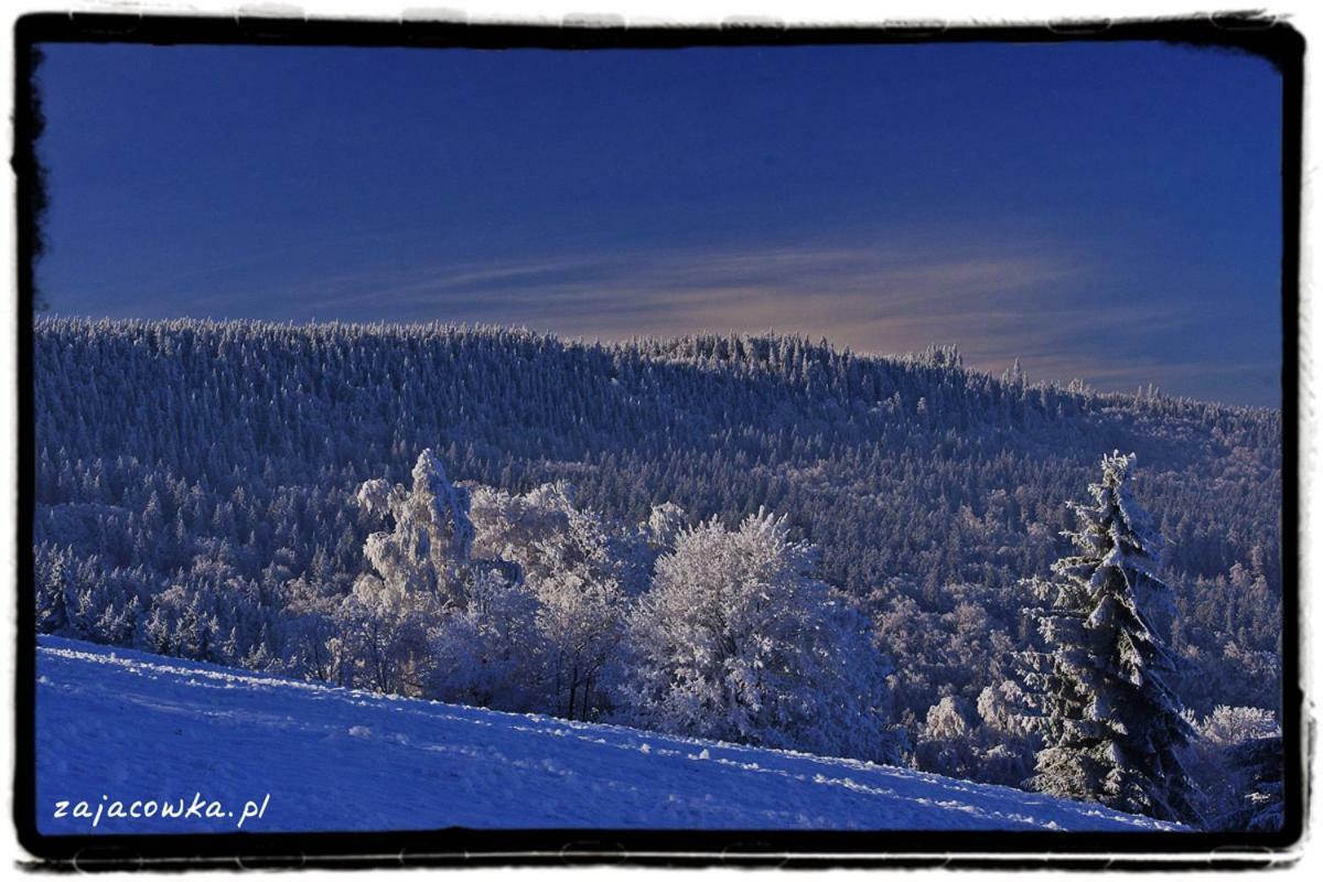 Zajacowka Villa Polanica-Zdrój Buitenkant foto